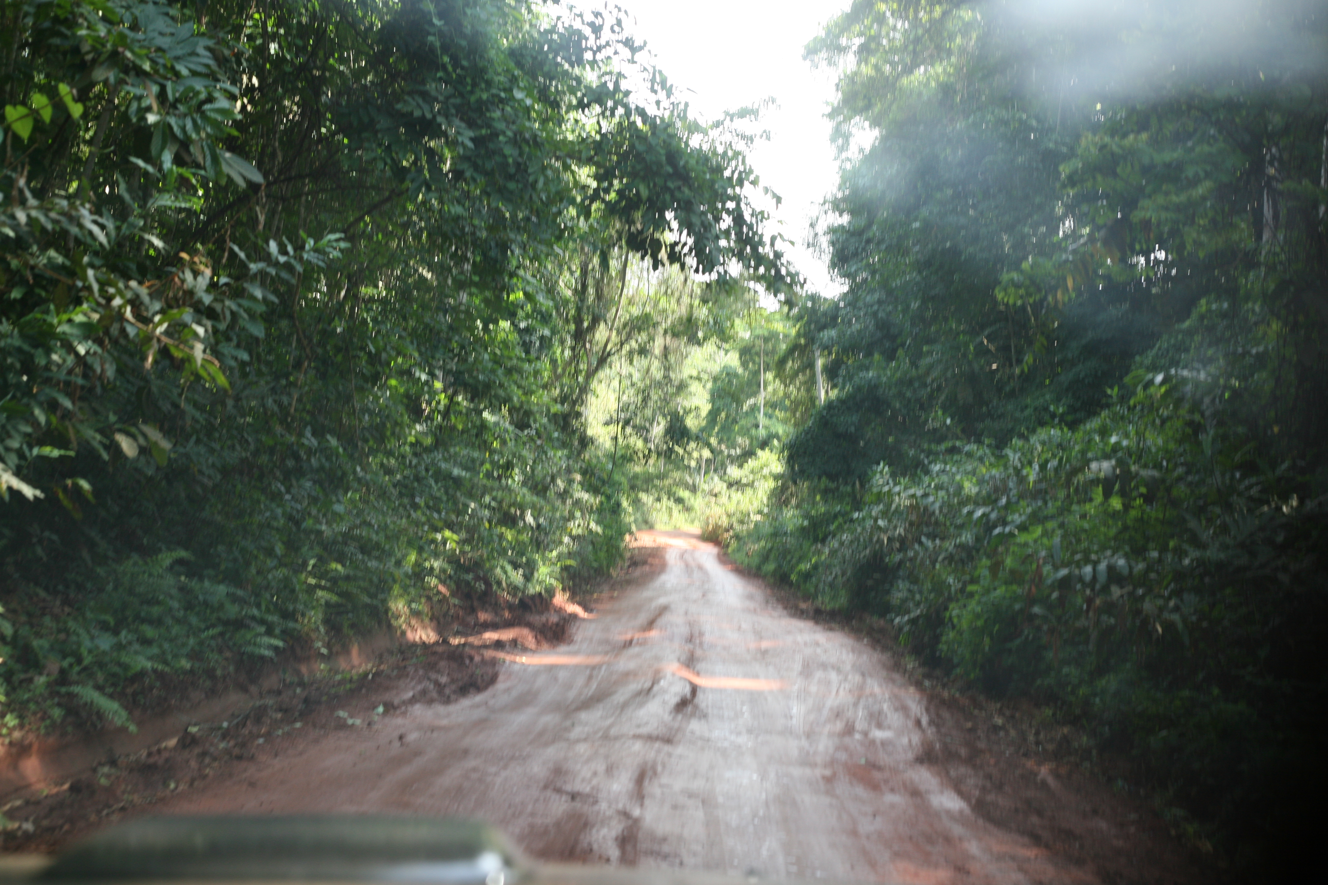 una strada da qualche parte in Africa - foto mia
