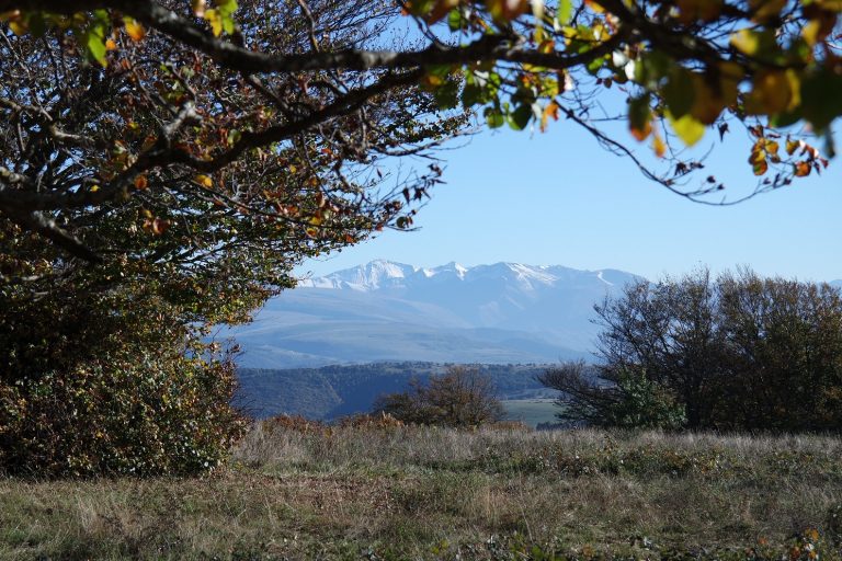 Il Foliage di Canfaito. La prima neve sui Monti Azzurri in lontananza.