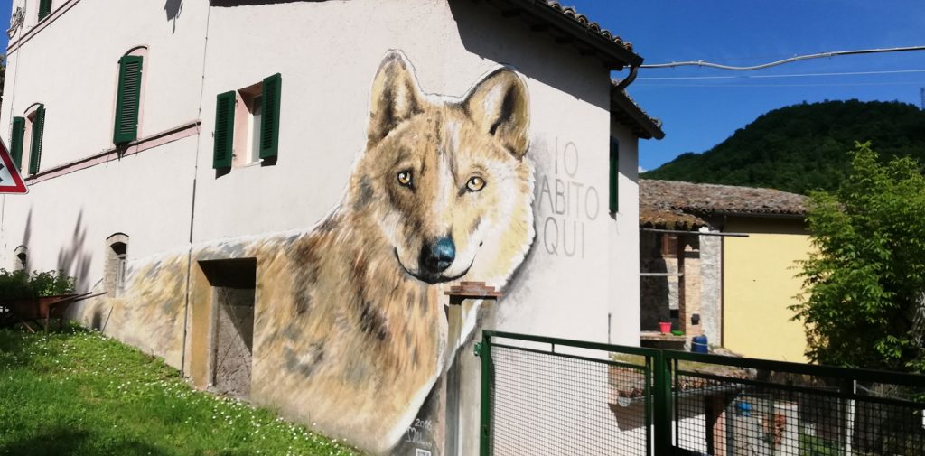 Piccolo viaggio tra arte e zafferano. Il lupo ritratto in prospettiva nell'angolo di una casa.